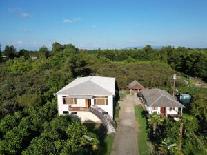 an aerial view of a house in a forest at Ani's Green House in Anaklia