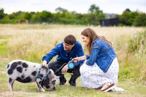 two people petting a cow in a field at Slow Cabins Kinvara in Kinvara