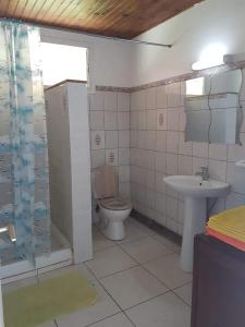 y baño con aseo, lavabo y ducha. en F1 studio Martinique, en Quartier la Fleury Guiné