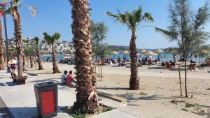 a palm tree on a beach with a crowd of people at Albatros in Buyukcekmece