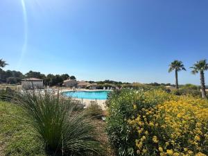 uma vista para uma piscina com palmeiras e flores em Villa 5 min circuit Paul-Ricard et 20 mn de la Mer em Signes