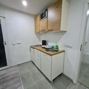 プフングシュタットにあるKlein und ruhig! Apartment zum entspannenのシンクと冷蔵庫のある小さなキッチン