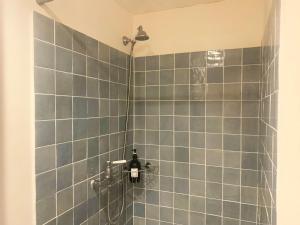 a shower with blue tiles in a bathroom at La Demeure du Pont Vieux in Collobrières