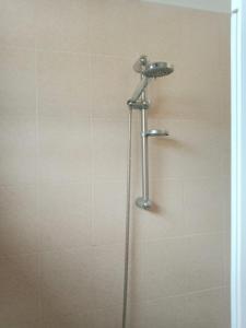 La salle de bains est pourvue d'une douche avec un pommeau de douche. dans l'établissement I Rifugi di Noah 1 Santa Maria a Vico-, à Santa Maria a Vico
