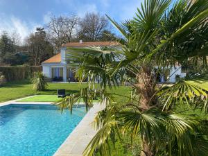a house with a swimming pool and a palm tree at Parker et Tammy in Saint-Gelais