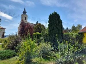 Vonkajšia záhrada v ubytovaní Gyöngyvirág Apartment