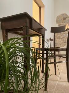 stół, krzesło i roślina w pokoju w obiekcie Baroon Bistrot B&B w mieście Polizzi Generosa