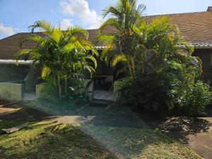 Κήπος έξω από το 14 Manzini Chalets -Flamingo Cove
