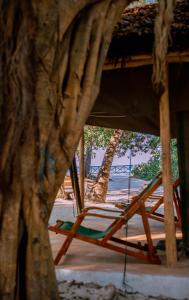 Photo de la galerie de l'établissement Mikadi Beach Camp & Backpackers, à Dar es Salaam