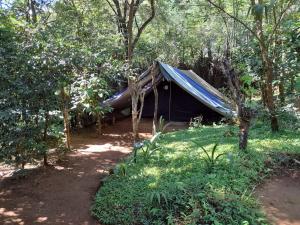a tent with a blue tarp in the woods at Meemure WENASA HOTEL in Mimure