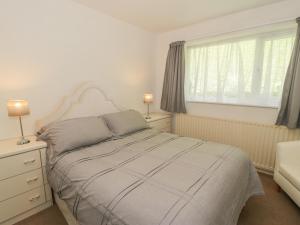 a white bedroom with a bed and a window at Trem Y Foel in Penrhyndeudreath