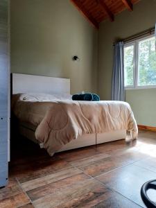1 dormitorio con 1 cama en una habitación con ventana en Aparts chalet Alquimia en Lago Puelo