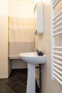 uma casa de banho com um lavatório branco e um chuveiro em Le Carteron Annecy em Annecy