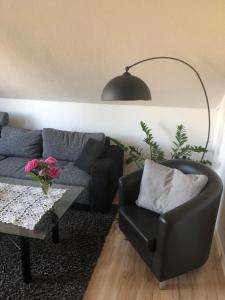 ein Wohnzimmer mit einem Sofa und einem Stuhl in der Unterkunft Ferienwohnung auf dem Maifeld in Gappenach