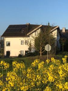 una casa con muchas flores amarillas delante de ella en Ferienwohnung auf dem Maifeld, en Gappenach