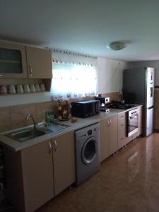 a kitchen with a sink and a washing machine at Cabana Forest in Piatra Fantanele