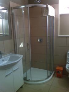 a shower with a glass door in a bathroom at Apartments Maki in Dugi Rat