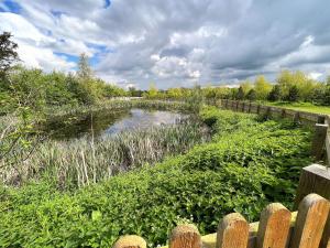 a wooden fence next to a small pond with weeds at White House Lodges in Heveningham