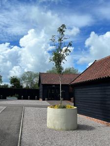 a tree in a pot in front of a building at White House Lodges in Heveningham
