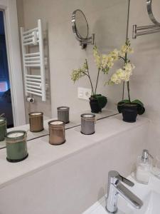 a bathroom counter with five pots and flowers on it at Apartamento Azabache in Zaragoza +23 photos
