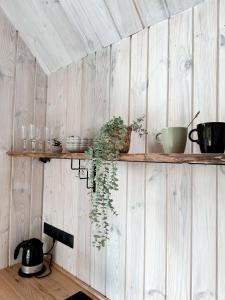 una pared de madera con un estante con plantas. en Sunset Village en Aglona