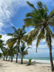Beachfront Studio-Waves & Wanderlust Haven في مومباسا: مجموعة من أشجار النخيل على الشاطئ مع المحيط