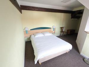 a bedroom with a large white bed in a room at Hotel le Chasseur in Illkirch-Graffenstaden