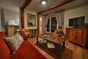 TV a/nebo společenská místnost v ubytování Chateau Loucen Garden Retreat