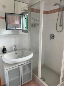 Introbio[Introbio-Lecco] La casa di Lucy vista montagna的带水槽和淋浴的白色浴室 更多20张照片