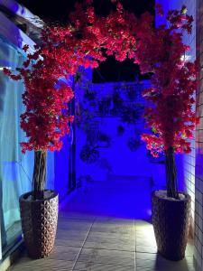 two vases filled with red flowers in a room at Hotel Pousada Irmaos Freyhardt in Rio de Janeiro