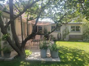 a house with potted plants in the yard at La Maison Gaston in Vernon