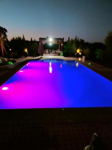 a swimming pool with blue and pink lighting at night at La Novia Marrakech in Tahannout