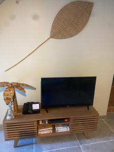 PujautにあるPujaut , Gîte cœur de village « sous le clocher»の木製エンターテイメントセンターの上に座って薄型テレビを設置