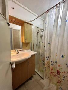 uma casa de banho com um lavatório e uma cortina de chuveiro em dgania lux em Qiryat H̱ayyim