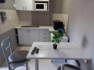 Okakarara的住宿－Kangumine Self Catering Units，一间小厨房,内设一张桌子和植物
