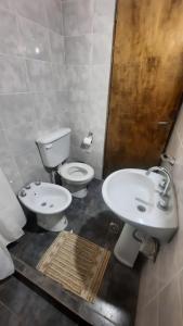 a bathroom with a toilet and a sink in it at Eduardo in Malargüe