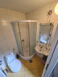 a bathroom with a toilet and a shower and a sink at Guesthouse Yildiz in Sarajevo