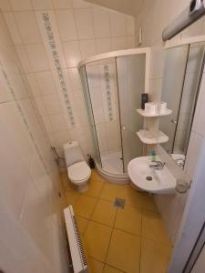 a bathroom with a toilet and a shower and a sink at Guesthouse Yildiz in Sarajevo