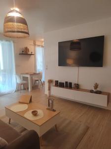 a living room with a couch and a tv on the wall at T2 balnéothérapie, jardin, parking, tram, boulodrome in Blagnac