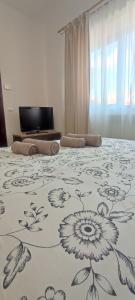Historic Centre Residence Romana.