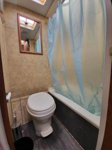 W łazience znajduje się toaleta, wanna i lustro. w obiekcie Moceanset Getaways - Ocean, Mountain & Sunset Views - Cozy Accommodations w mieście Dingwall