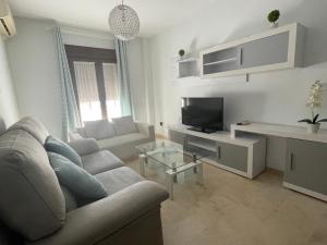 een woonkamer met een bank en een tv bij Apartamento Alameda del Tajo III Centro Parquing in Ronda