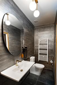 a bathroom with a sink and a mirror and a toilet at Casa Zielinski Sighișoara in Sighişoara