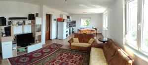 ein Wohnzimmer mit einem Sofa und einem TV in der Unterkunft Kuca Vujovic in Belgrad