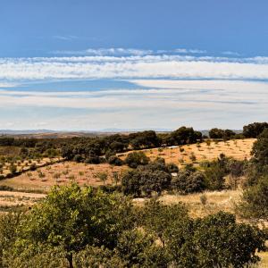 Aussicht von der Spitze eines Hügels mit Bäumen in der Unterkunft Autentisereia in Algoso