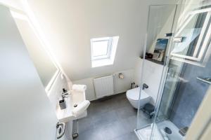 een kleine badkamer met een toilet en een douche bij Hökis-Zimmervermietung 6 in Brande-Hörnerkirchen