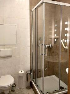 een badkamer met een douche en een toilet bij Pension Wehner in Torgau