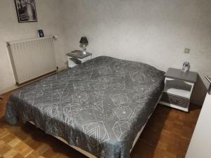 a bedroom with a bed with a gray comforter at La Maison de Raph in Villeneuve dʼOlmes