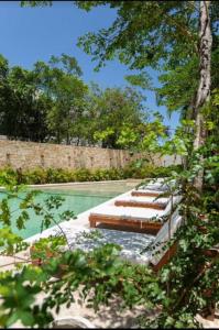 uma fila de espreguiçadeiras junto a uma piscina em Modern Urban Jungle with Luxury Mayan Style em Tulum