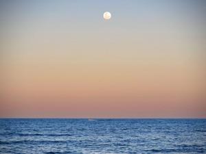 uma lua sobre o oceano ao pôr-do-sol em Pousada Maré em Cumuruxatiba